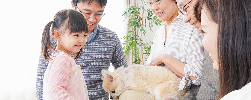 ペットの世話をする家族