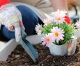 戸建ての庭を活用するアイデア5選｜子どもの遊び場・ガーデニング・家庭菜園で暮らしを豊かに