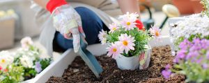 戸建ての庭を活用するアイデア5選